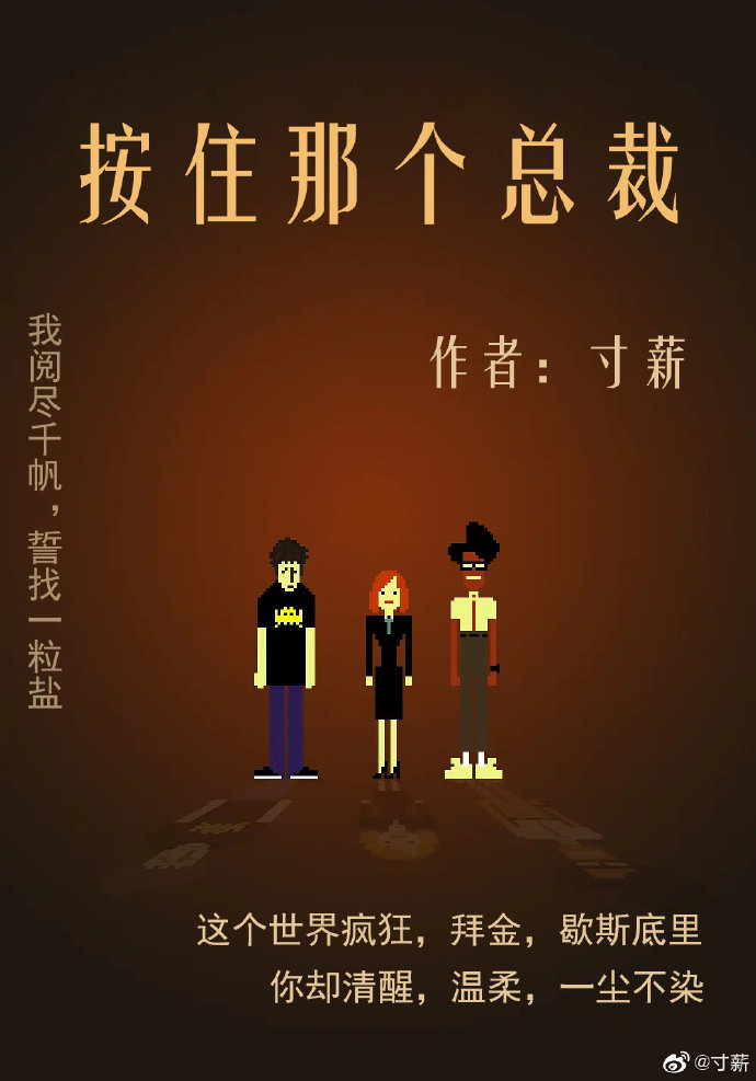 按住那个总裁