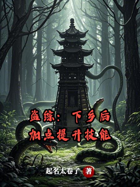 盗综：下乡后加点提升技能